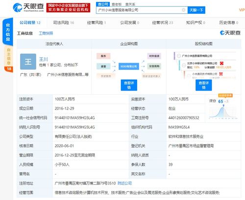 洪鋒卸任廣州小米信息服務法人及經理，計算機信息技術咨詢服務領域引關注