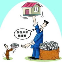 房產(chǎn)中介信息咨詢(xún)服務(wù)的價(jià)值與作用